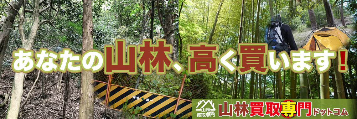 山林買取専門ドットコム