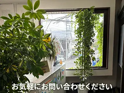 株式会社ソレイユ